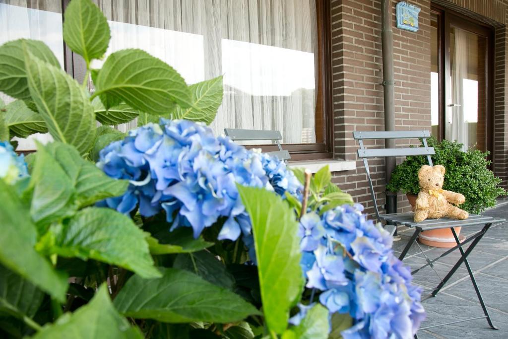 니우포르트 Hoevedomein Polderrust 아파트 외부 사진